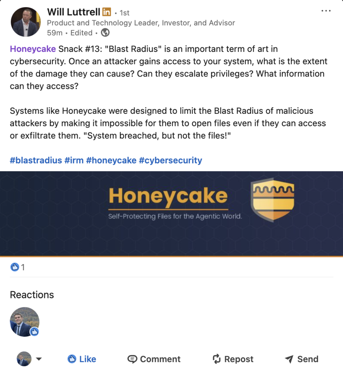 Honeycake Snack #13 - Blast Radius in cybersecurity